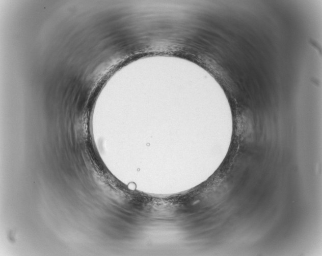X0000100190632200806271619