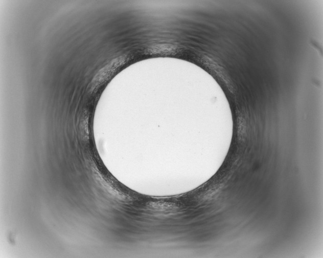 X0000100190633200806271619