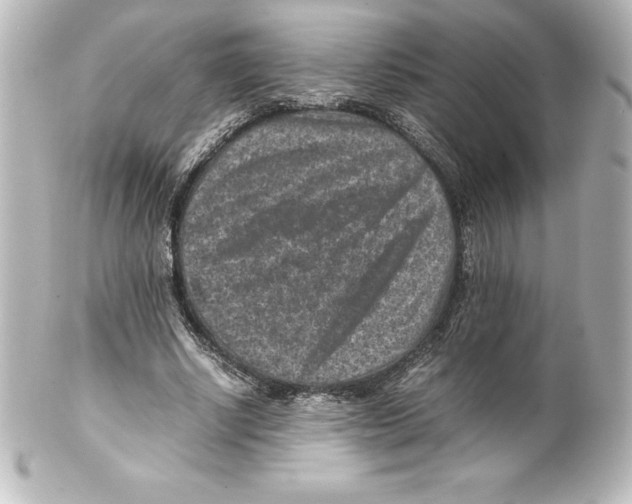X0000100190634200806271619