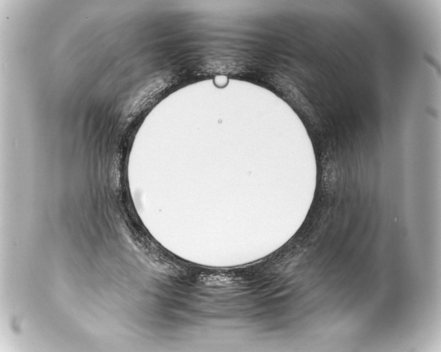 X0000100190635200806271619
