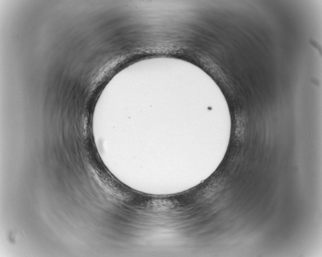 X0000100190636200806271619