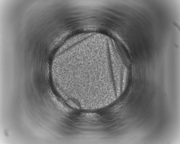 X0000100190637200806271619