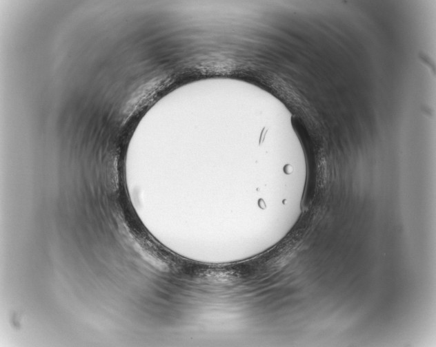 X0000100190638200806271619