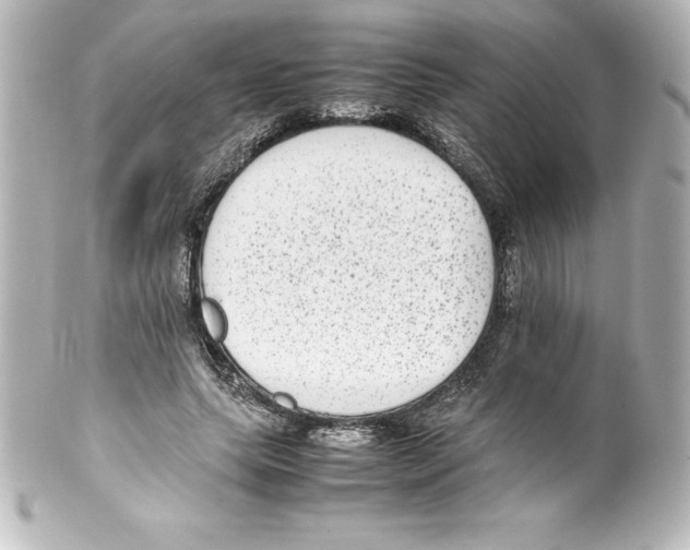 X0000100190639200806271620
