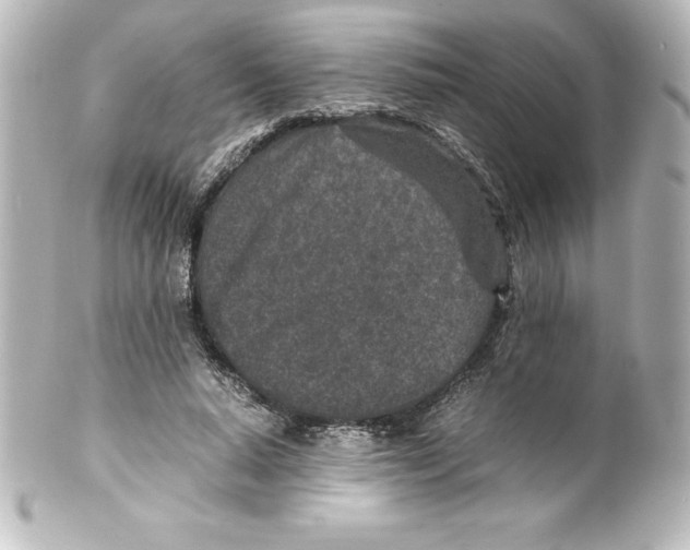 X0000100190640200806271620