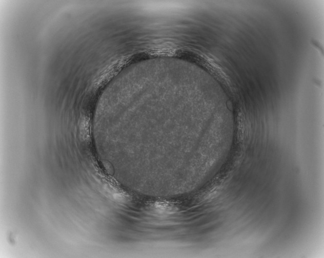 X0000100190641200806271620