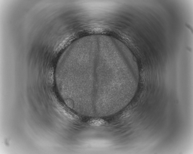 X0000100190642200806271620