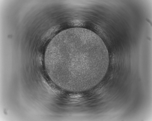 X0000100190643200806271620
