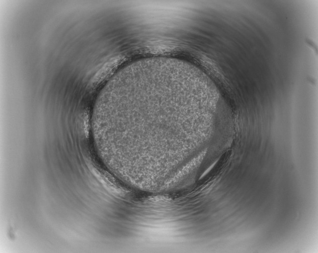X0000100190644200806271620
