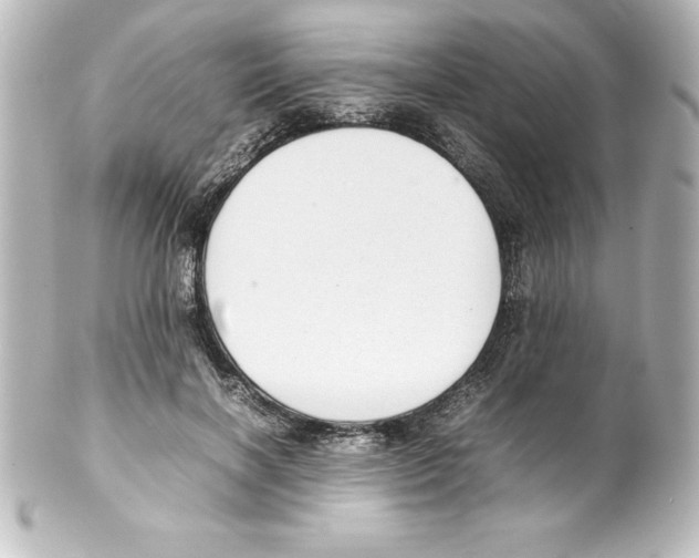 X0000100190646200806271620