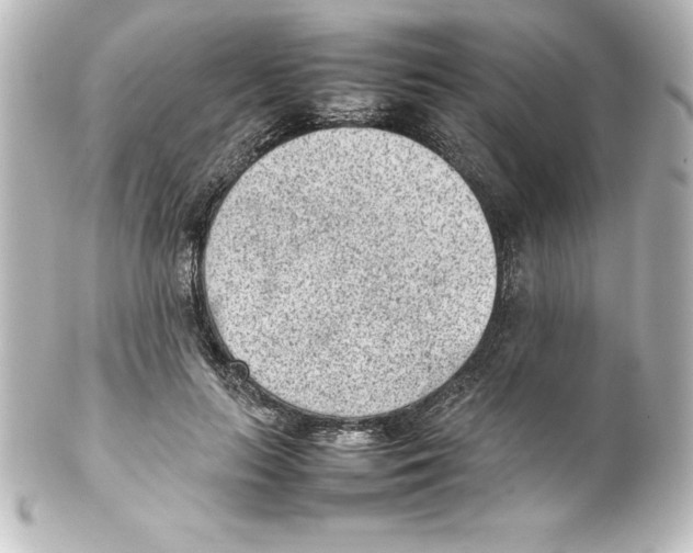 X0000100190647200806271620