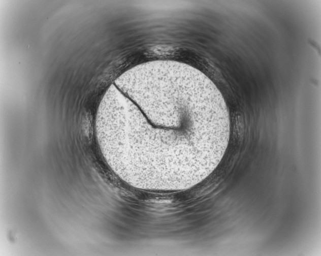 X0000100190651200806271620