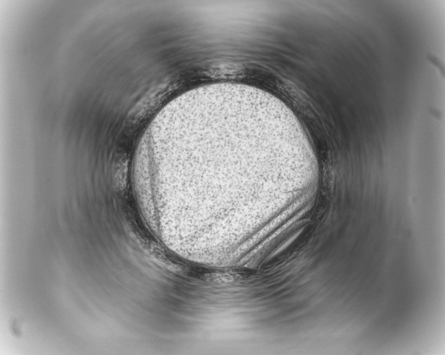 X0000100190652200806271620