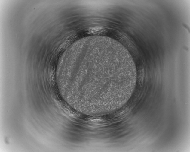 X0000100190653200806271620
