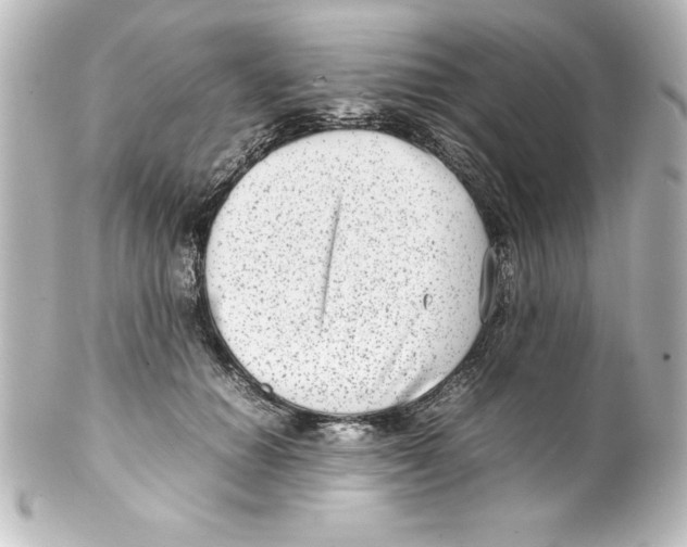 X0000100190654200806271620