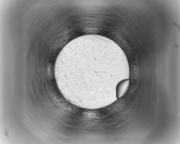 X0000100190655200806271620