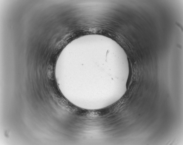 X0000100190656200806271620