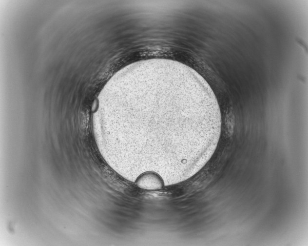 X0000100190657200806271620
