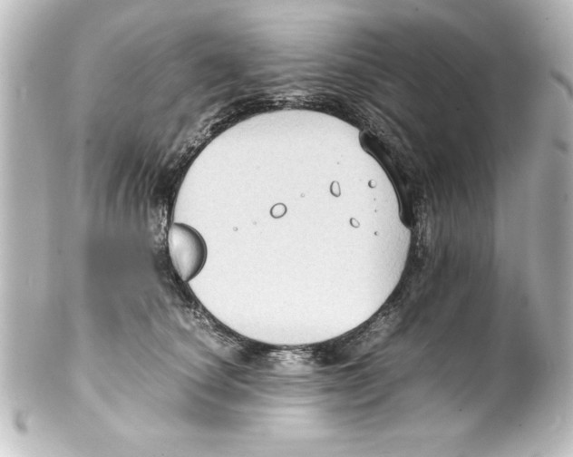 X0000100190660200806271620