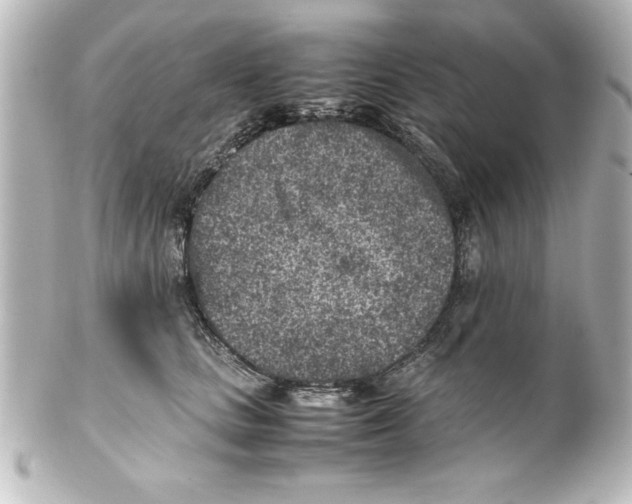 X0000100190661200806271620