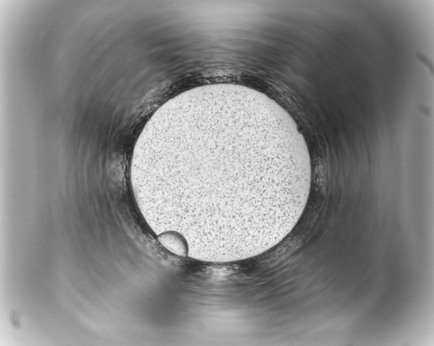 X0000100190662200806271620