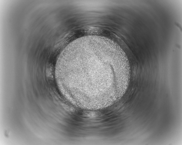 X0000100190663200806271620