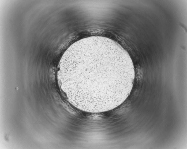 X0000100190664200806271620