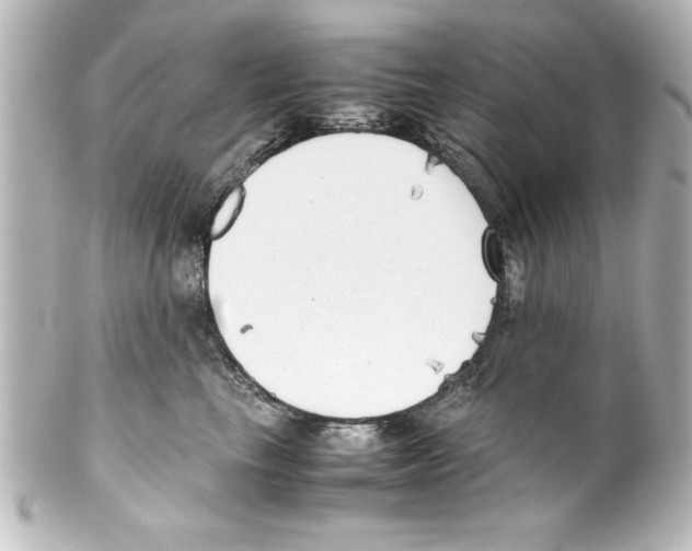 X0000100190665200806271620