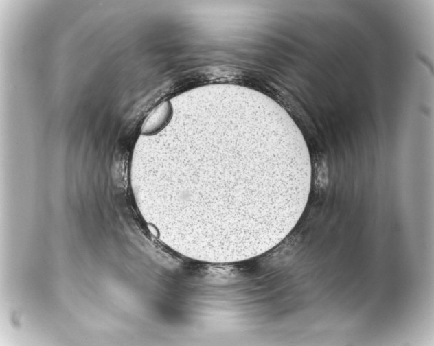 X0000100190666200806271620