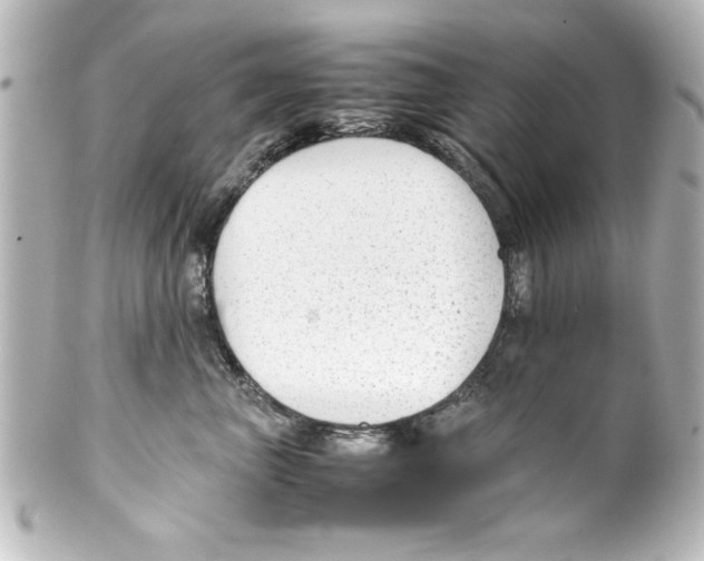 X0000100190667200806271620