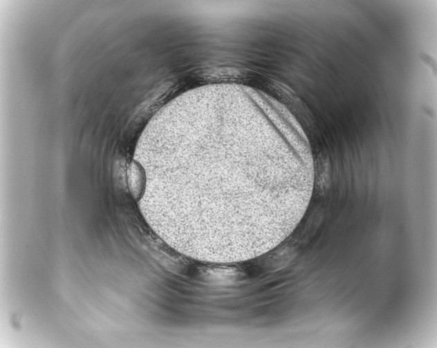 X0000100190669200806271620