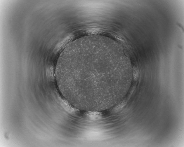 X0000100190670200806271620