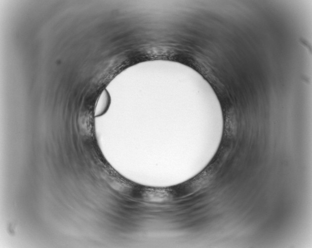 X0000100190671200806271620