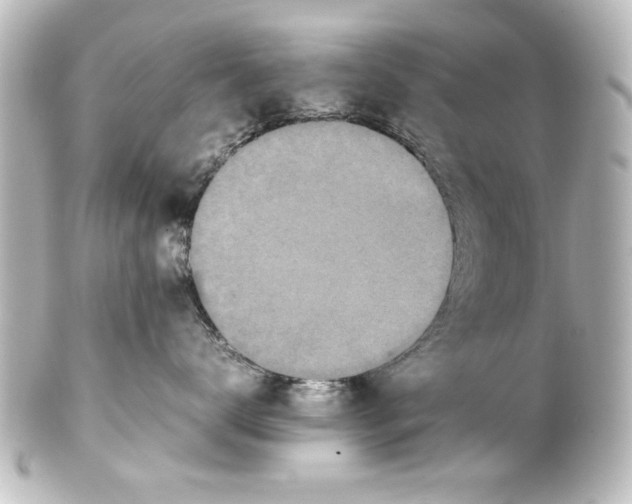 X0000100190672200806271620