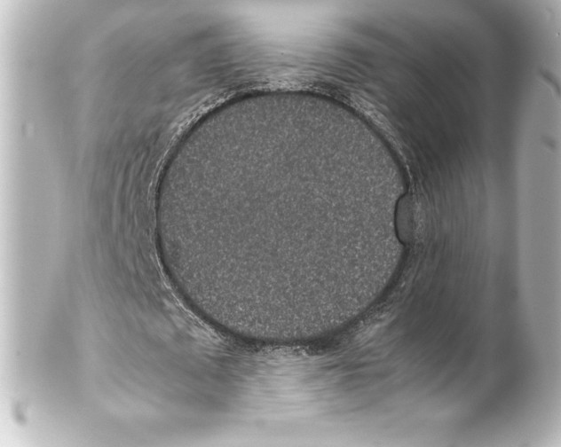 X0000100190673200806271619