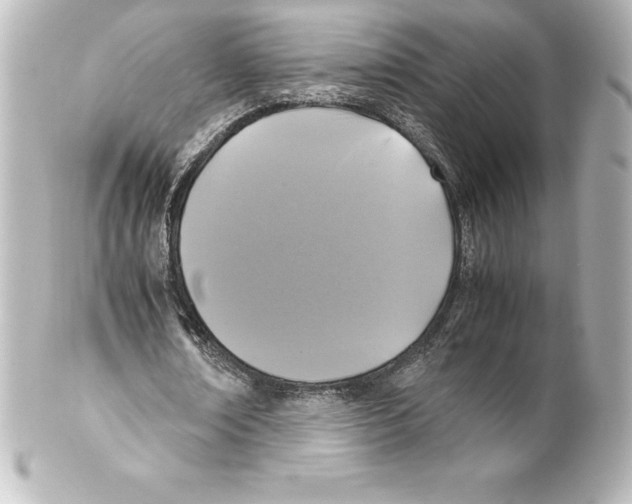 X0000100190674200806271619