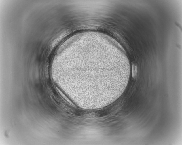 X0000100190675200806271619