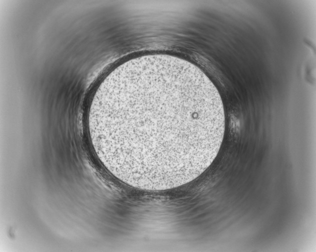 X0000100190676200806271619