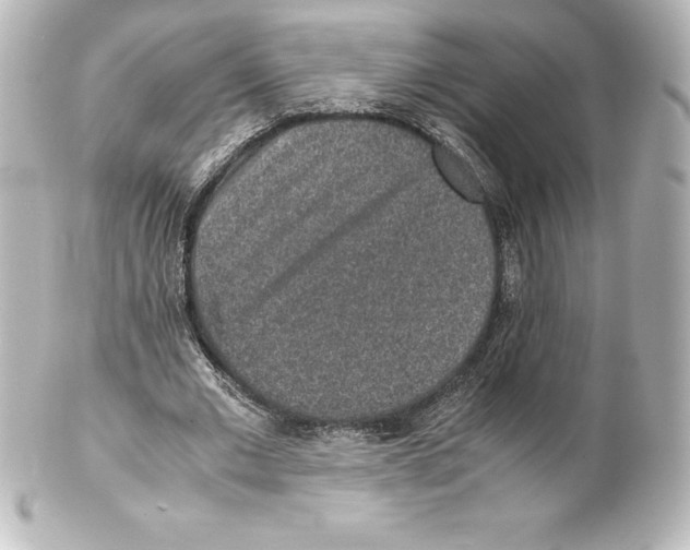 X0000100190677200806271619