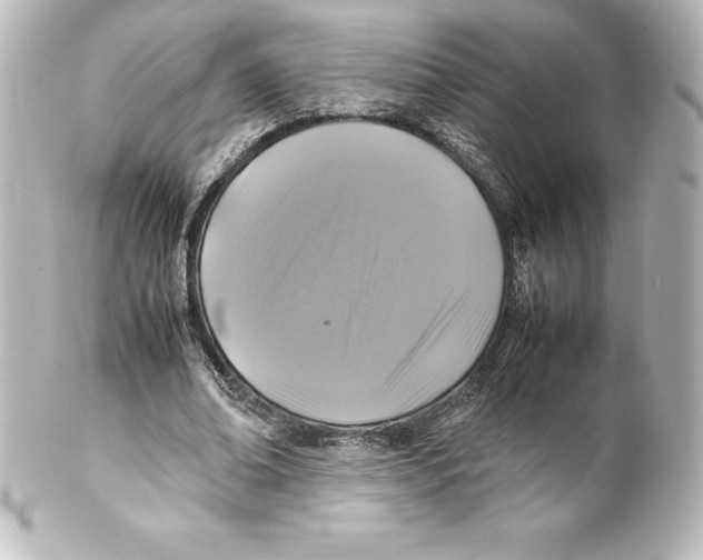 X0000100190678200806271619
