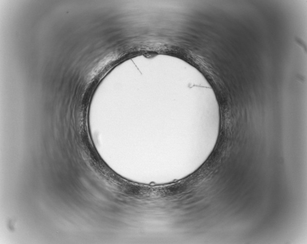 X0000100190679200806271619