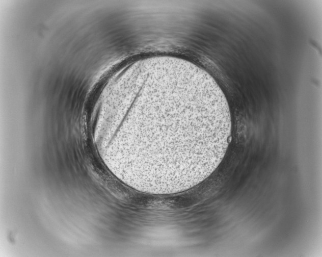 X0000100190680200806271619