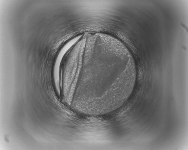 X0000100190681200806271619