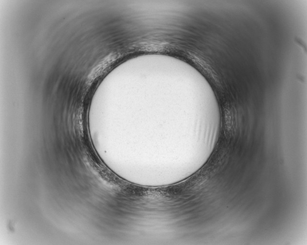 X0000100190682200806271619