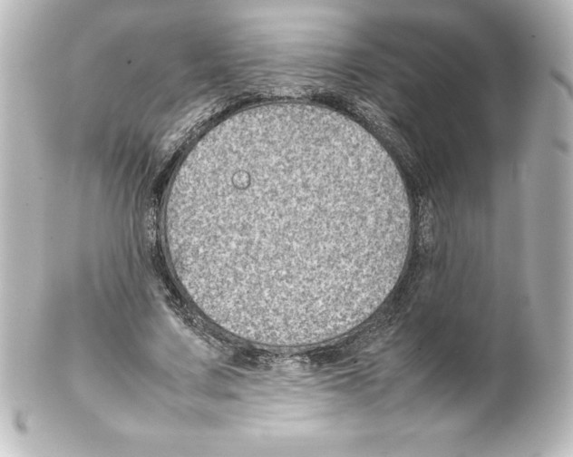 X0000100190683200806271619