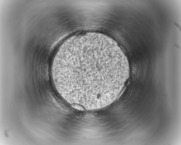 X0000100190684200806271619