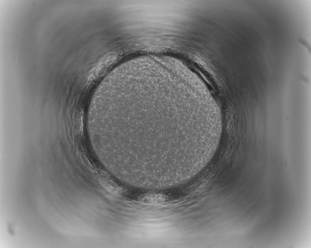 X0000100190685200806271619