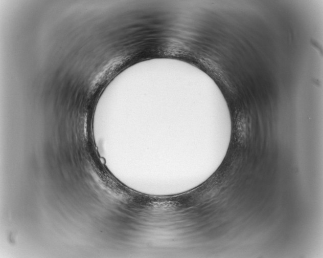 X0000100190686200806271619