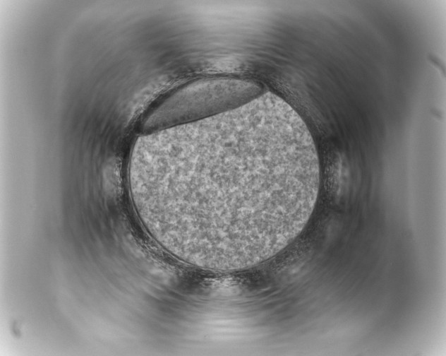 X0000100190688200806271619