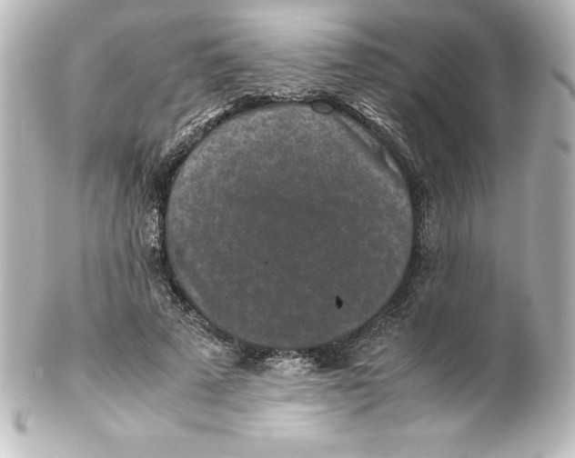 X0000100190689200806271619